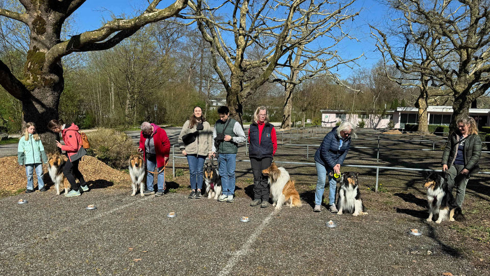 Der M-Wurf vom Seehain feiert seinen 1. Geburtstag